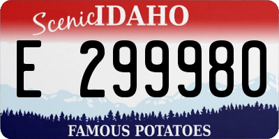 ID license plate E299980