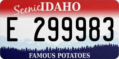 ID license plate E299983