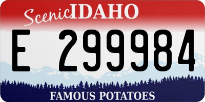 ID license plate E299984