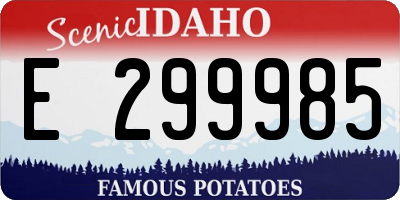 ID license plate E299985