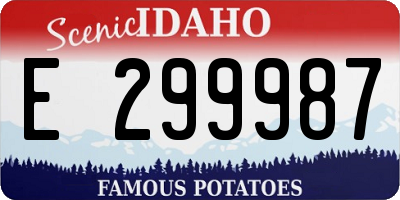 ID license plate E299987