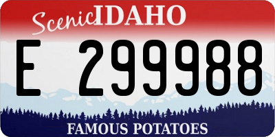 ID license plate E299988