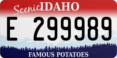 ID license plate E299989