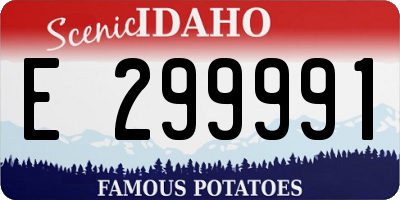ID license plate E299991