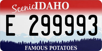 ID license plate E299993