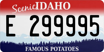 ID license plate E299995