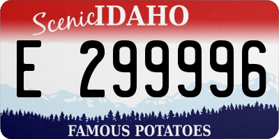ID license plate E299996