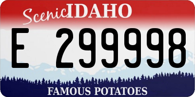ID license plate E299998