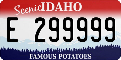 ID license plate E299999