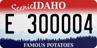 ID license plate E300004