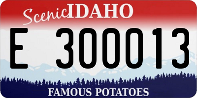 ID license plate E300013