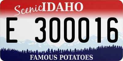 ID license plate E300016