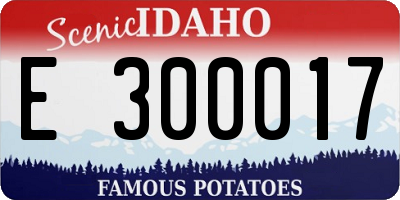 ID license plate E300017