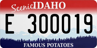 ID license plate E300019