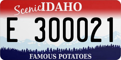 ID license plate E300021