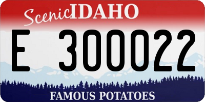 ID license plate E300022