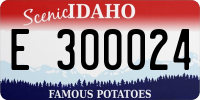 ID license plate E300024