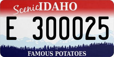 ID license plate E300025