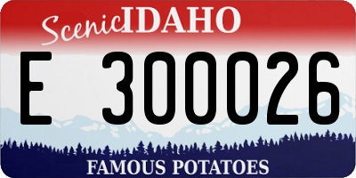 ID license plate E300026