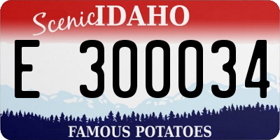 ID license plate E300034