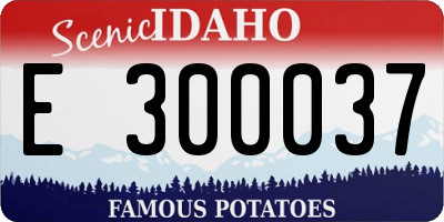 ID license plate E300037