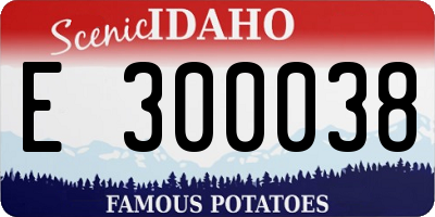 ID license plate E300038
