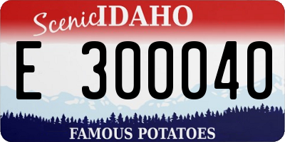 ID license plate E300040