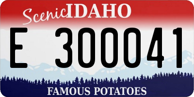ID license plate E300041