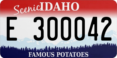ID license plate E300042