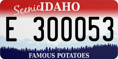 ID license plate E300053