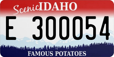 ID license plate E300054