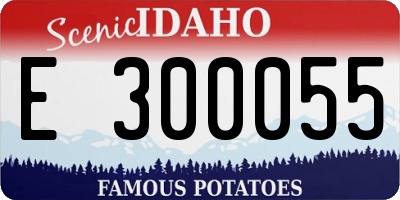 ID license plate E300055