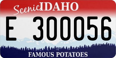 ID license plate E300056