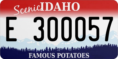 ID license plate E300057