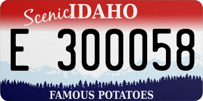 ID license plate E300058
