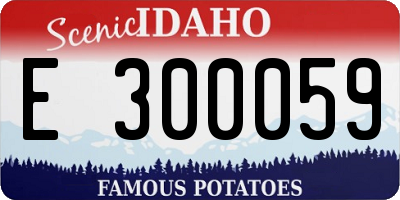 ID license plate E300059