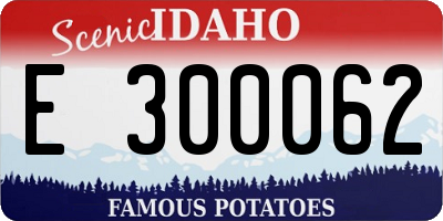 ID license plate E300062