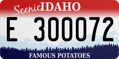 ID license plate E300072