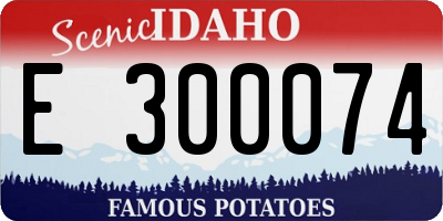 ID license plate E300074