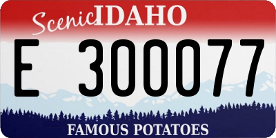 ID license plate E300077