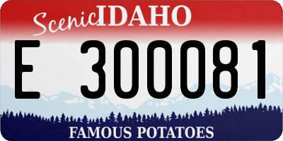 ID license plate E300081