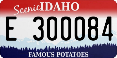 ID license plate E300084