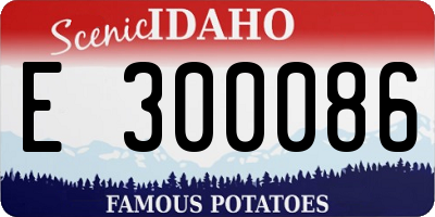 ID license plate E300086