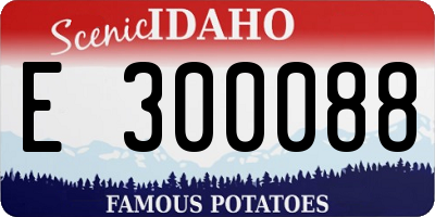 ID license plate E300088