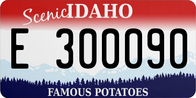 ID license plate E300090