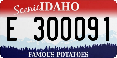 ID license plate E300091