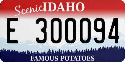 ID license plate E300094