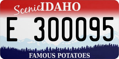 ID license plate E300095