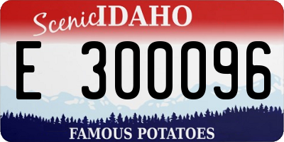 ID license plate E300096