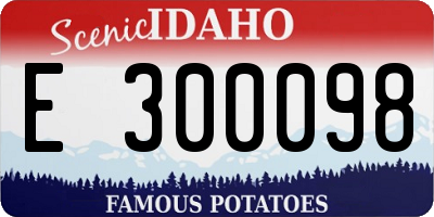 ID license plate E300098